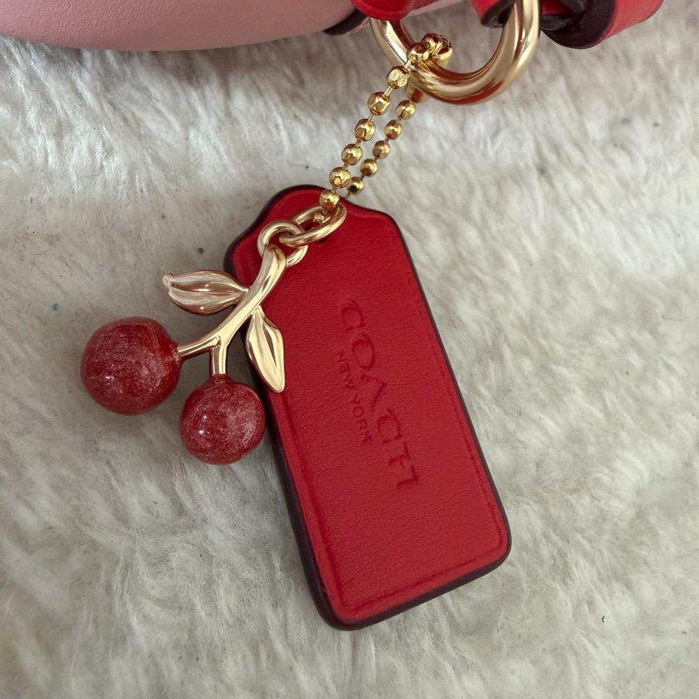 Coach Mini Jamie Camera Bag With Heart Cherry Print - Picture 6 of 12